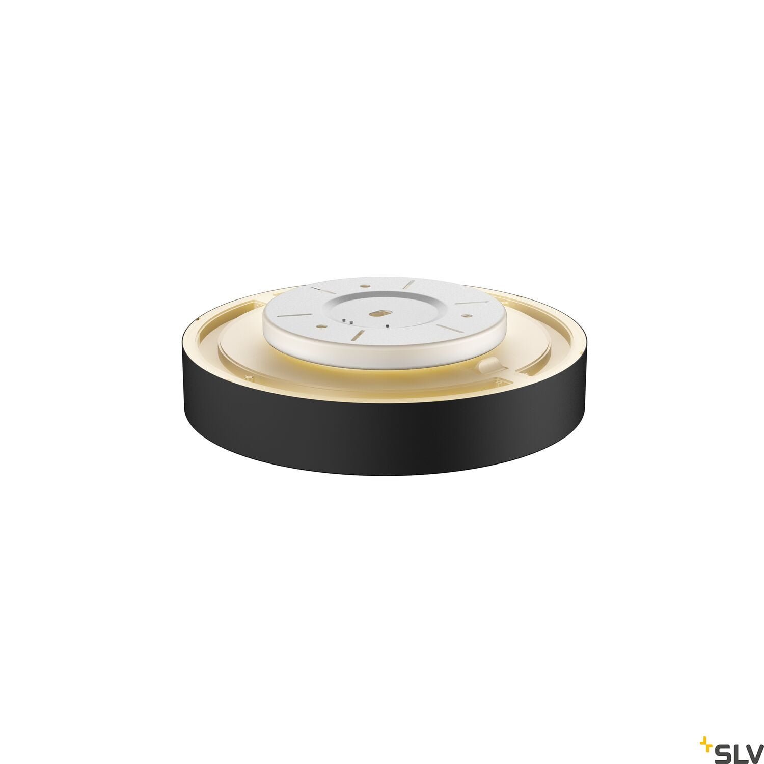 MEDO 40 AMBIENT, LED  Wand- und Deckenaufbauleuchte, DALI, schwarz, 3000/4000K 3