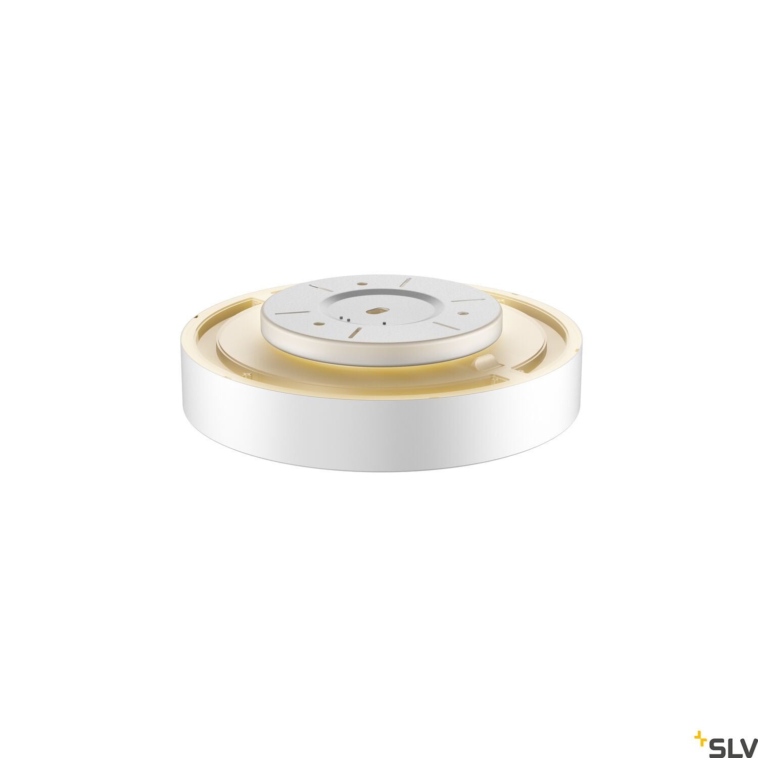 MEDO 40 AMBIENT, LED  Wand- und Deckenaufbauleuchte, DALI, weiß, 3000/4000K 3