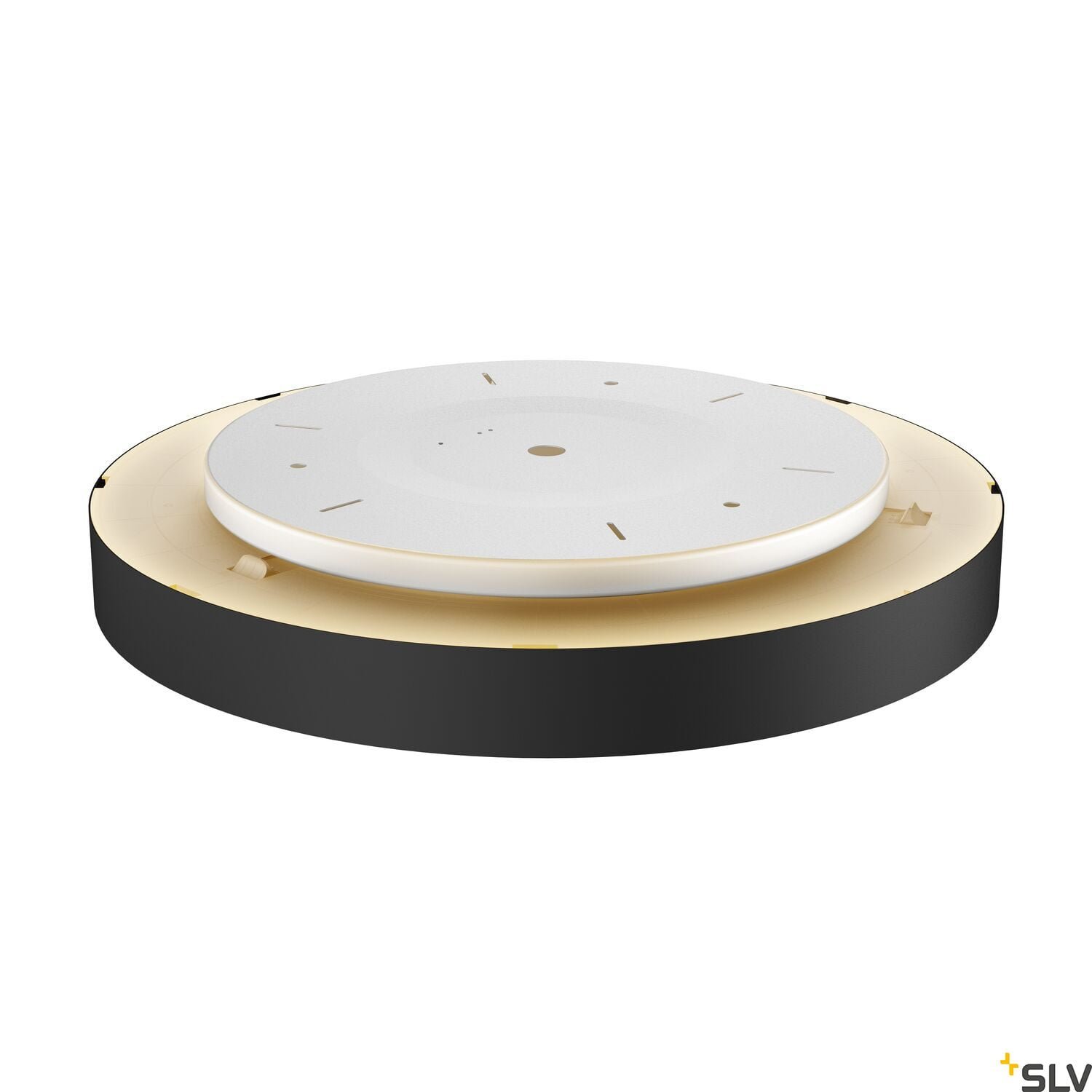 MEDO 60 AMBIENT, LED  Wand- und Deckenaufbauleuchte, DALI, schwarz, 3000/4000K 3