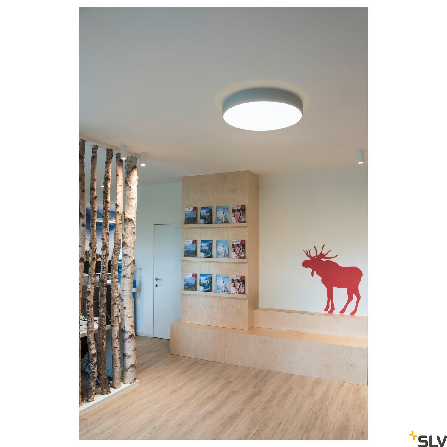 MEDO 60 AMBIENT, LED  Wand- und Deckenaufbauleuchte, DALI, silbergrau, 3000/4000K 5