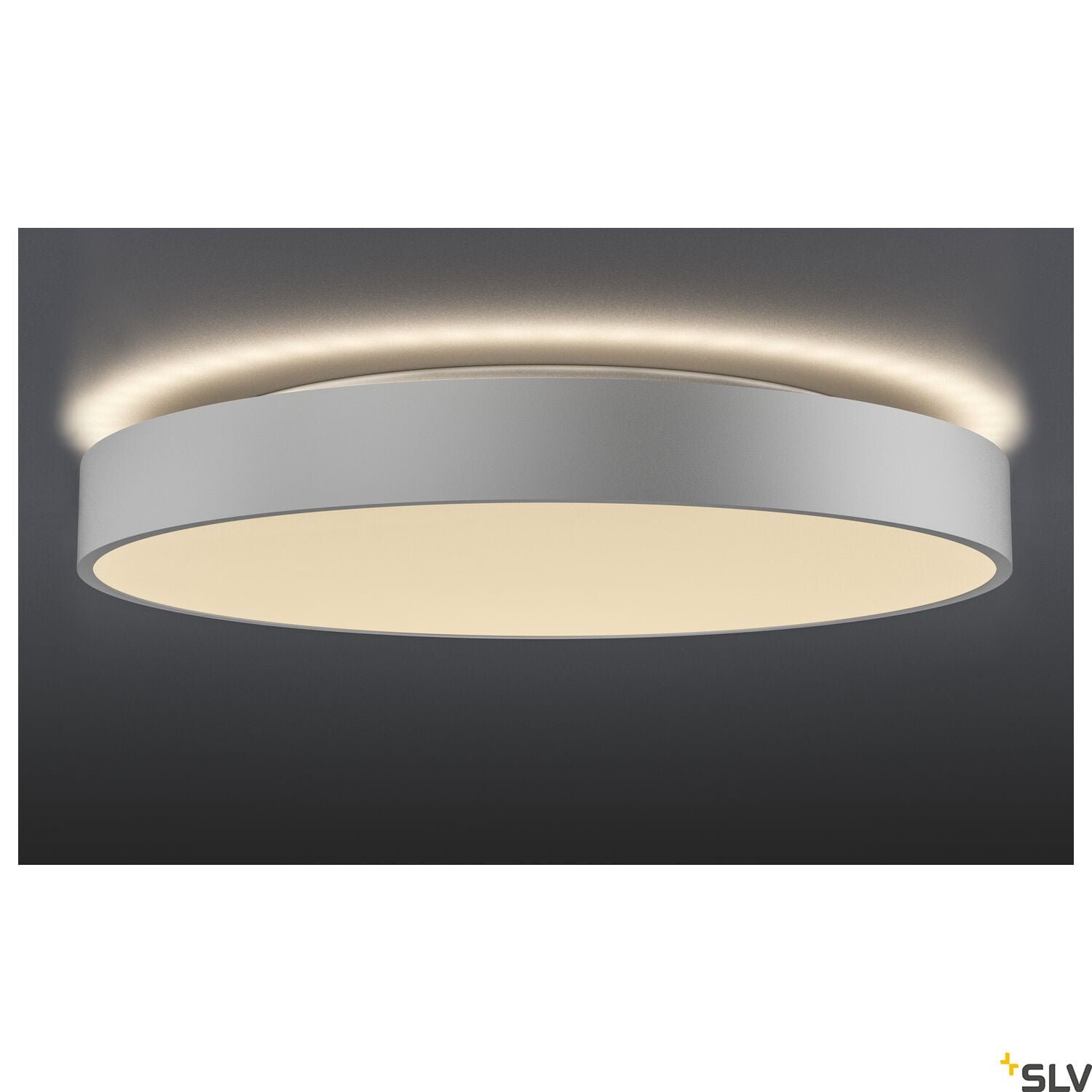MEDO 60 AMBIENT, LED  Wand- und Deckenaufbauleuchte, DALI, silbergrau, 3000/4000K 6