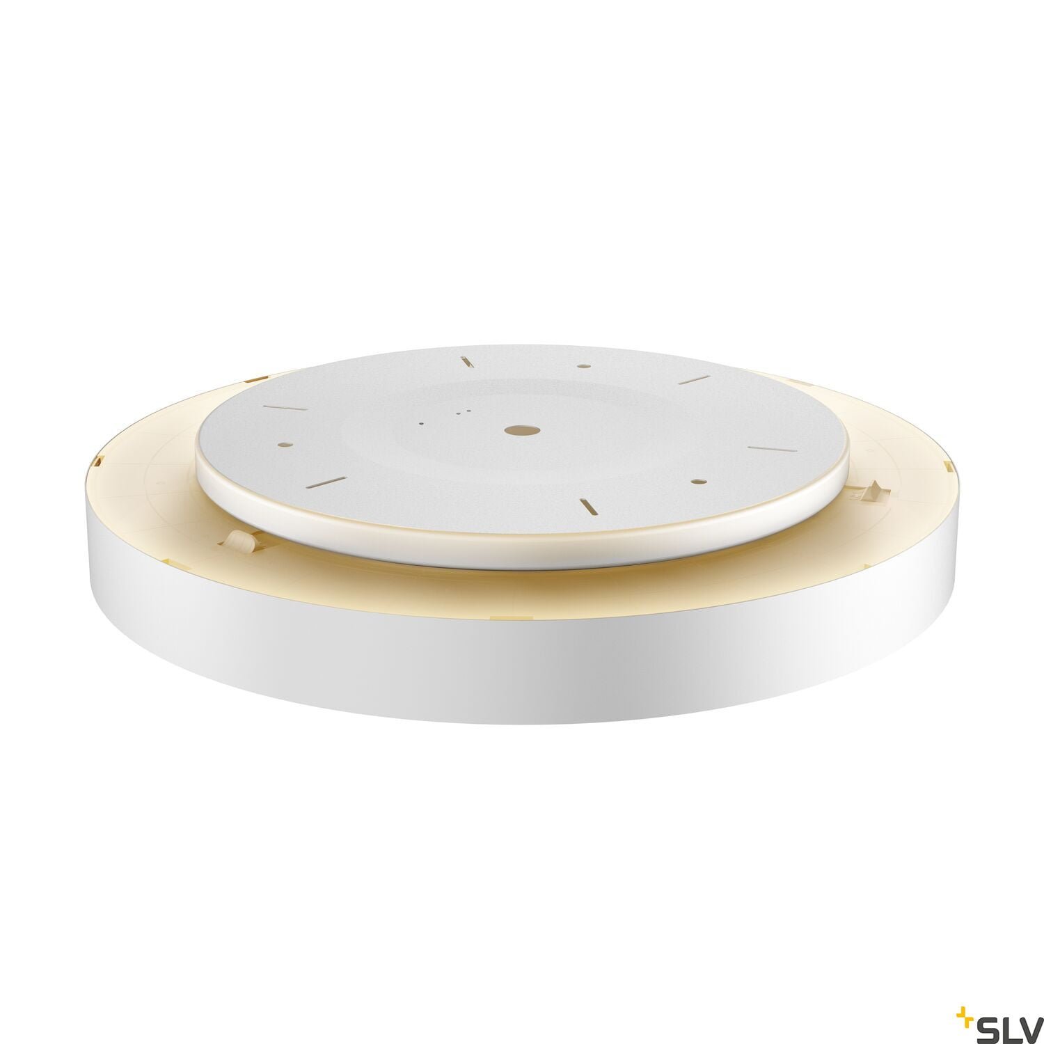 MEDO 60 AMBIENT, LED  Wand- und Deckenaufbauleuchte, DALI, weiß, 3000/4000K 3