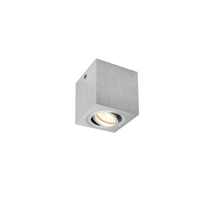 TRILEDO Single, Indoor Deckenaufbauleuchte, QPAR51, alu br., max 10W