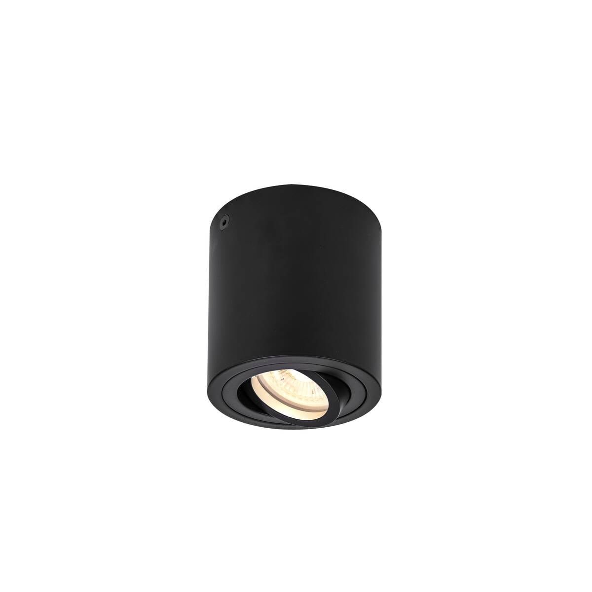 TRILEDO CL, Indoor Deckenaufbauleuchte, QPAR51, schwarz, max 10W