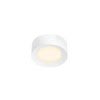 FERA 25 CL DALI, Indoor LED Deckenaufbauleuchte, weiß 4