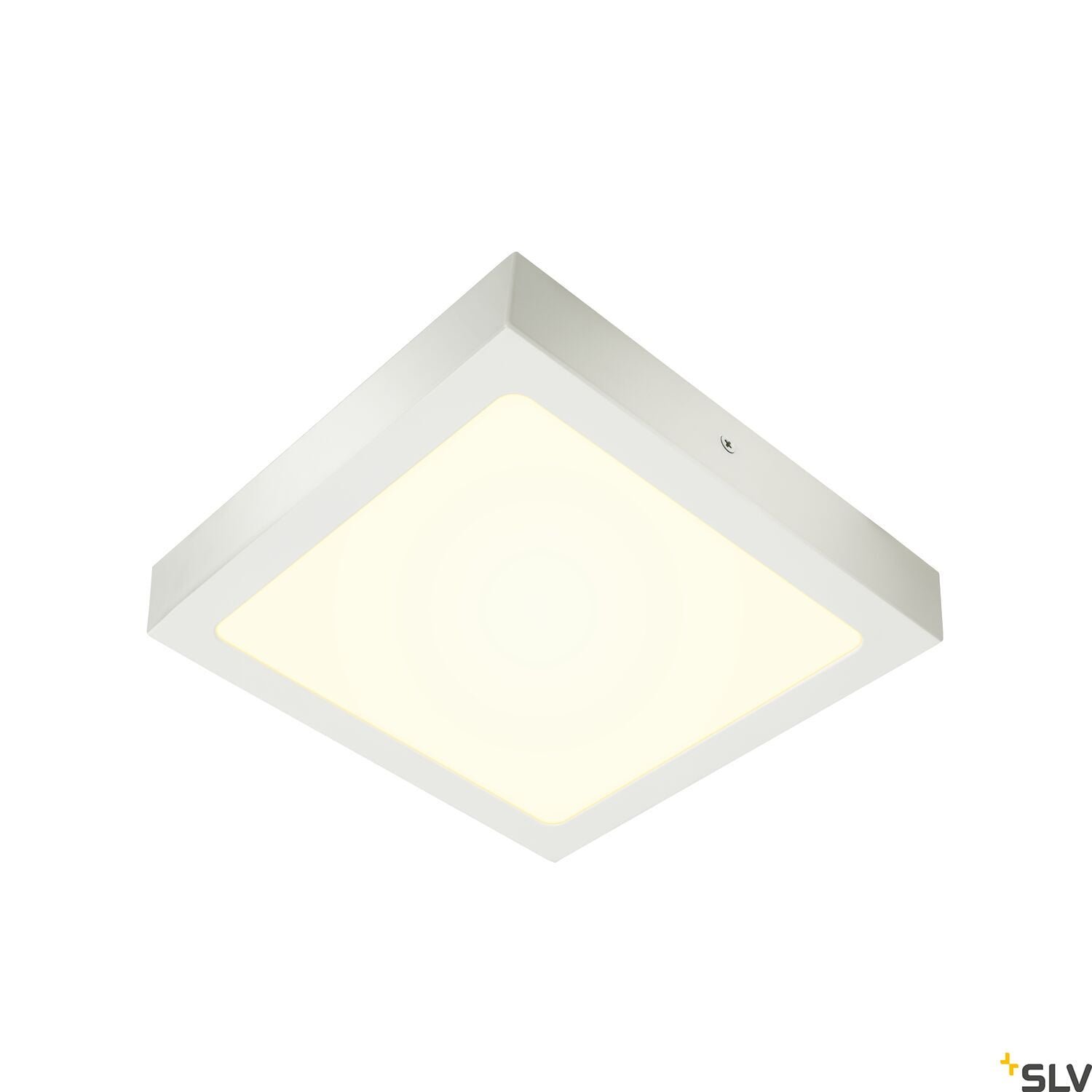 SENSER 24,  LED Wand- und Deckenaufbauleuchte eckig weiß 4000K