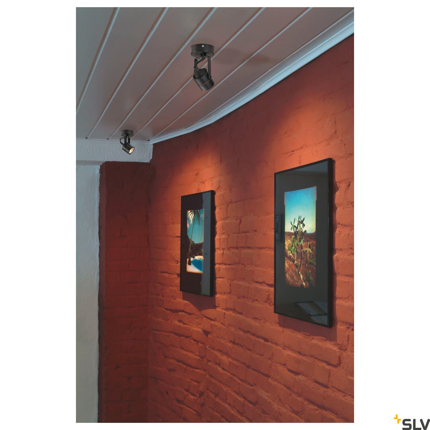 SPOT 79, Wand- und Deckenleuchte, QPAR51, rund, schwarz, 230V, max. 50W 5