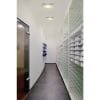 GLASSA, Deckenleuchte, A60, viereckig, Glas satiniert, max. 60W 5