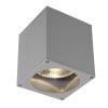 BIG THEO,  Deckenleuchte, QPAR111, IP44, eckig,  silbergrau, max. 75W 3